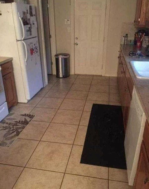 The Kitchen Puzzle: Where Is the Hidden Dog?