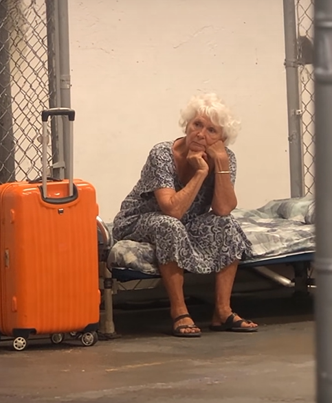 The Shocking Truth About My Grandson—and How I Took Back My Life at 72