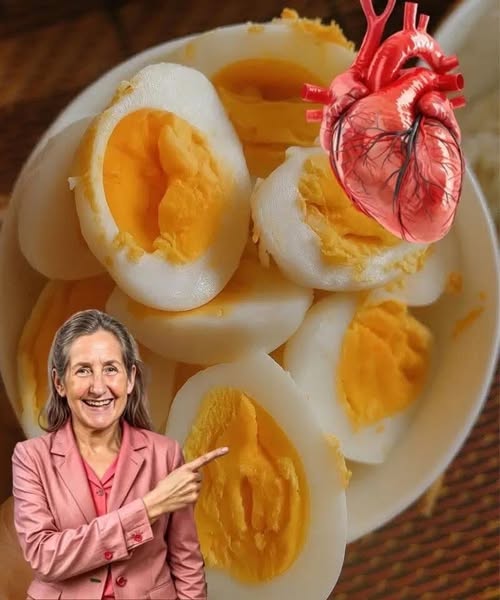 Daily Egg Facts: What You Need to Know