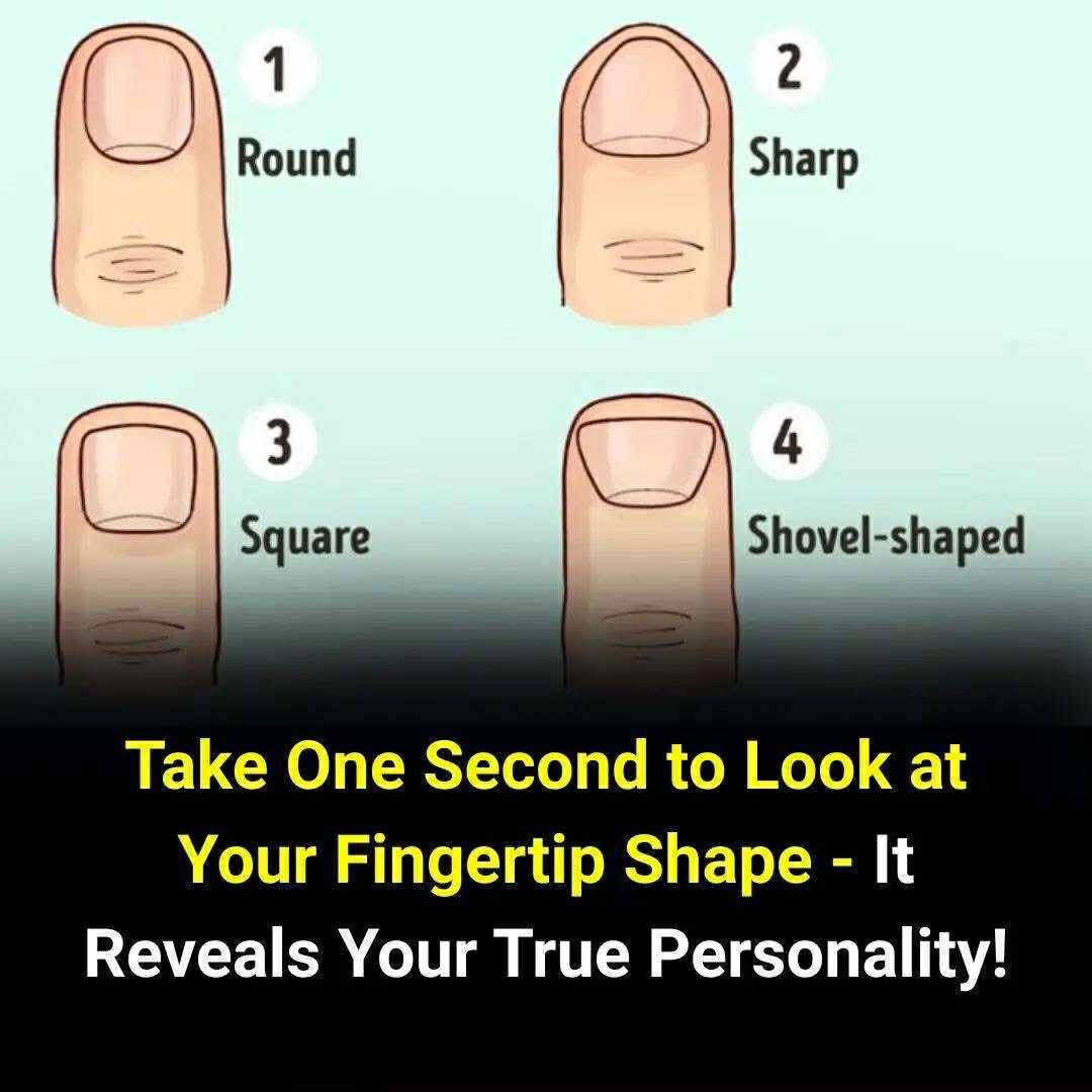 Discover What Fingertip Shapes Reveal