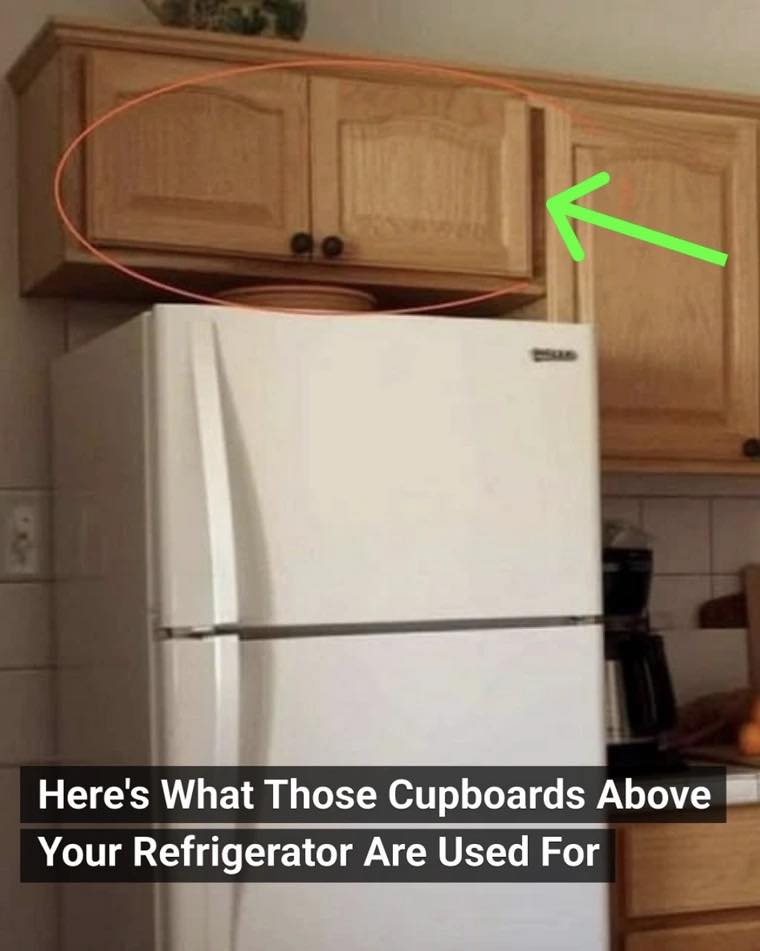 The Secret Purpose of Fridge-Top Cabinets