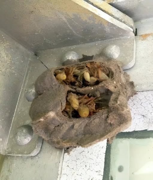 I went into the garage just to grab an old toolbox