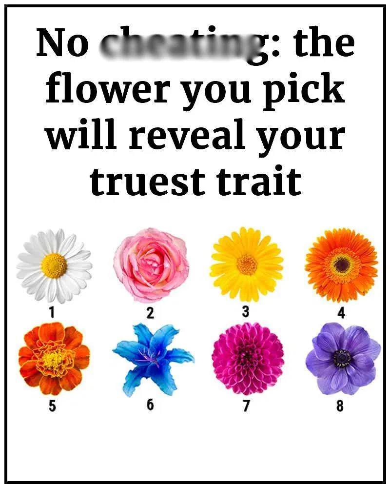 Flower Choice Reveals Hidden Personality