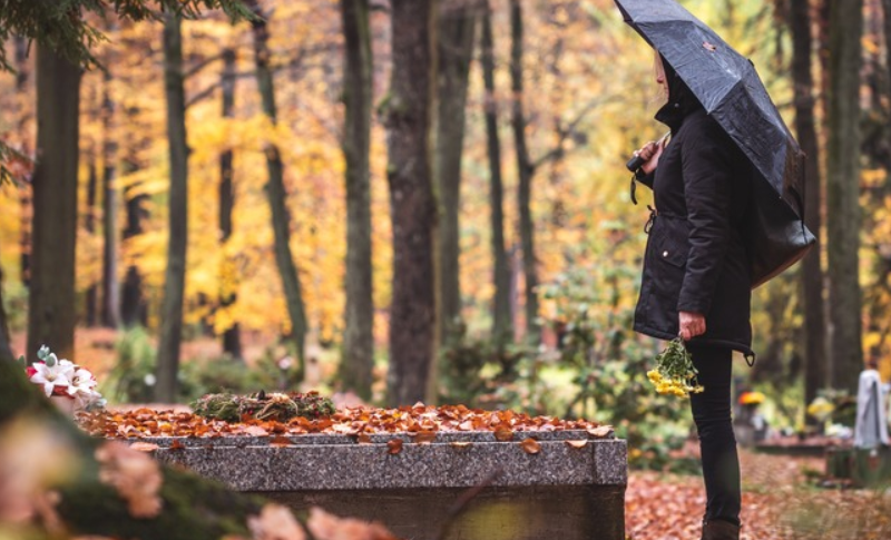 The Hidden Power of Scents on Human Behavior