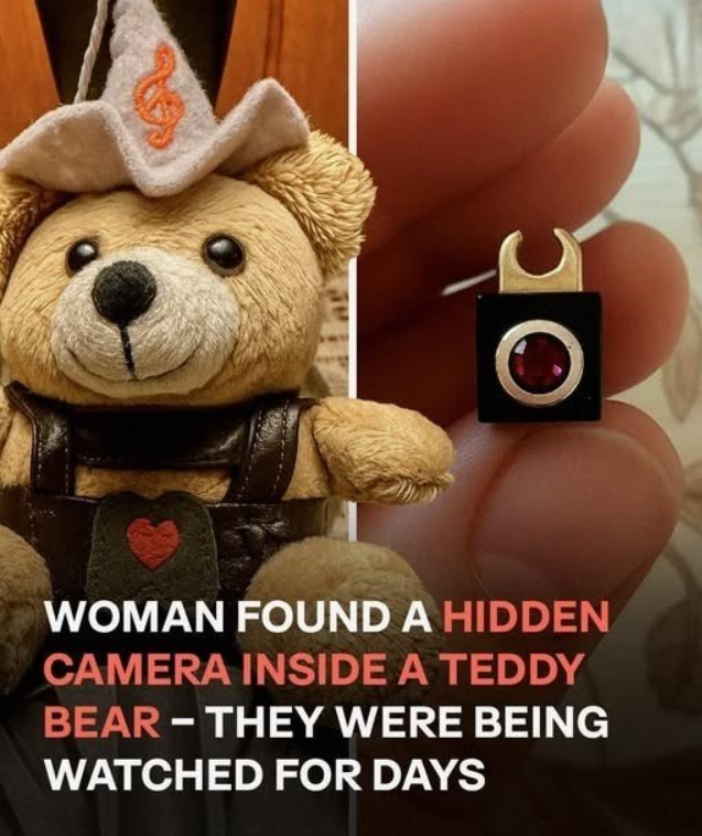 The Teddy Bear That Hid a Shocking Secret