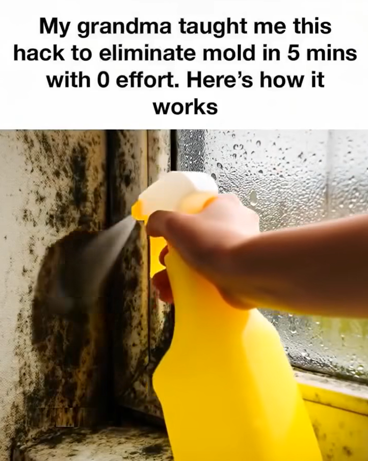 Erase Home Mold Safely with Hydrogen Peroxide