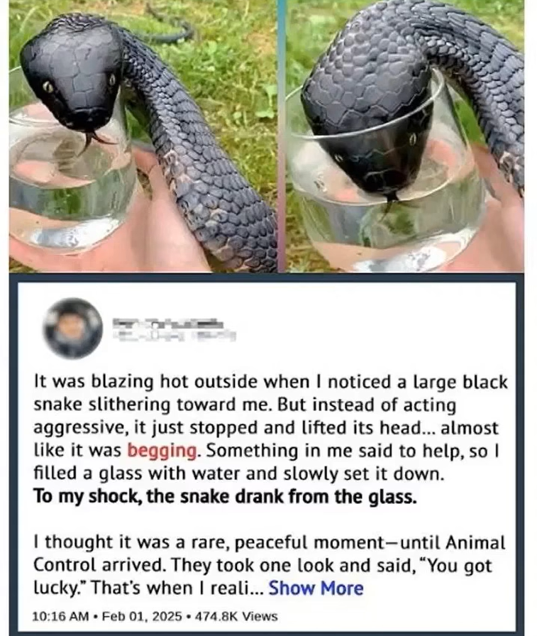 Mystery Guest at the Water’s Edge