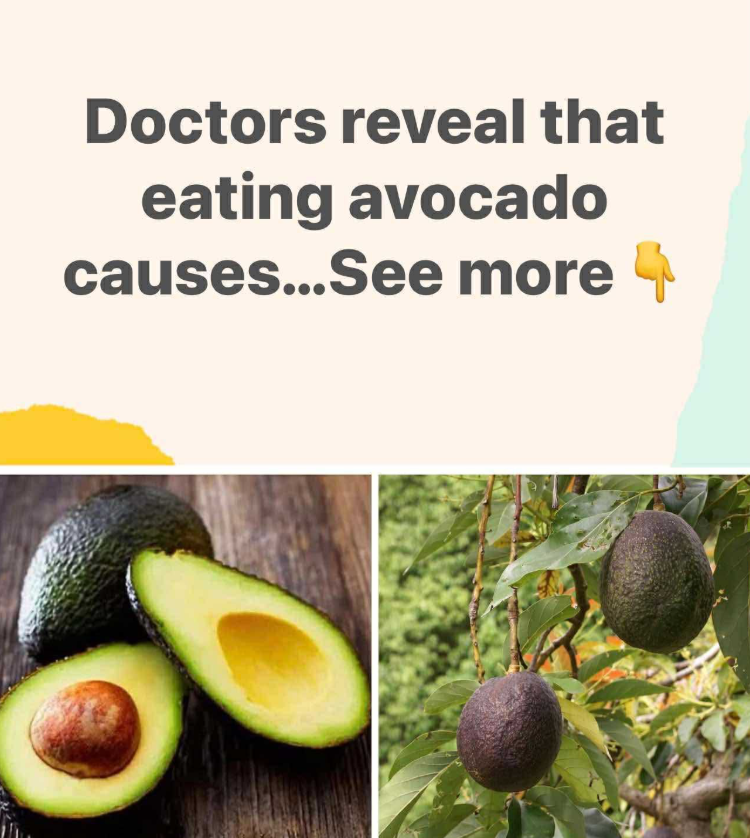 Unexpected Health Effects of Eating Avocados Revealed by Doctors