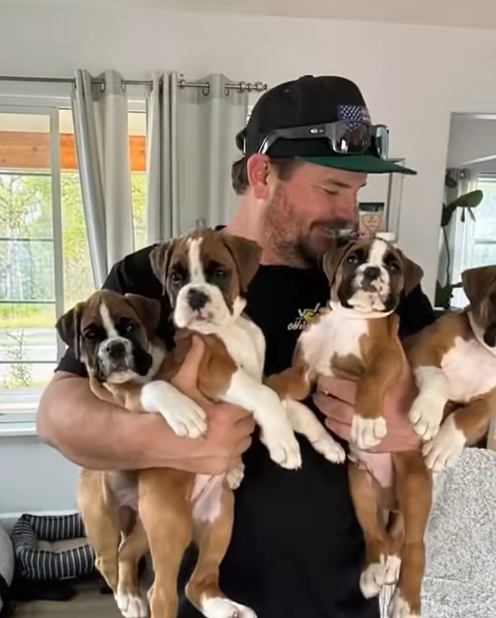 The Collar That Transformed a Puppy’s Life