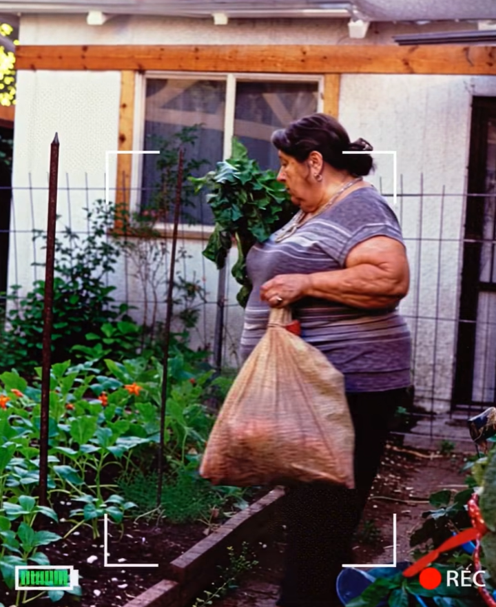 How I Dealt with My Neighbor Stealing from My Garden