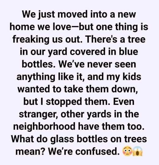 The Fascinating Story Behind the Glass Bottle Trees in Our Neighborhood