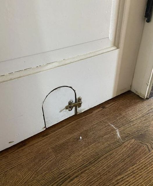 Why Old Homes Have Tiny Hidden Doors