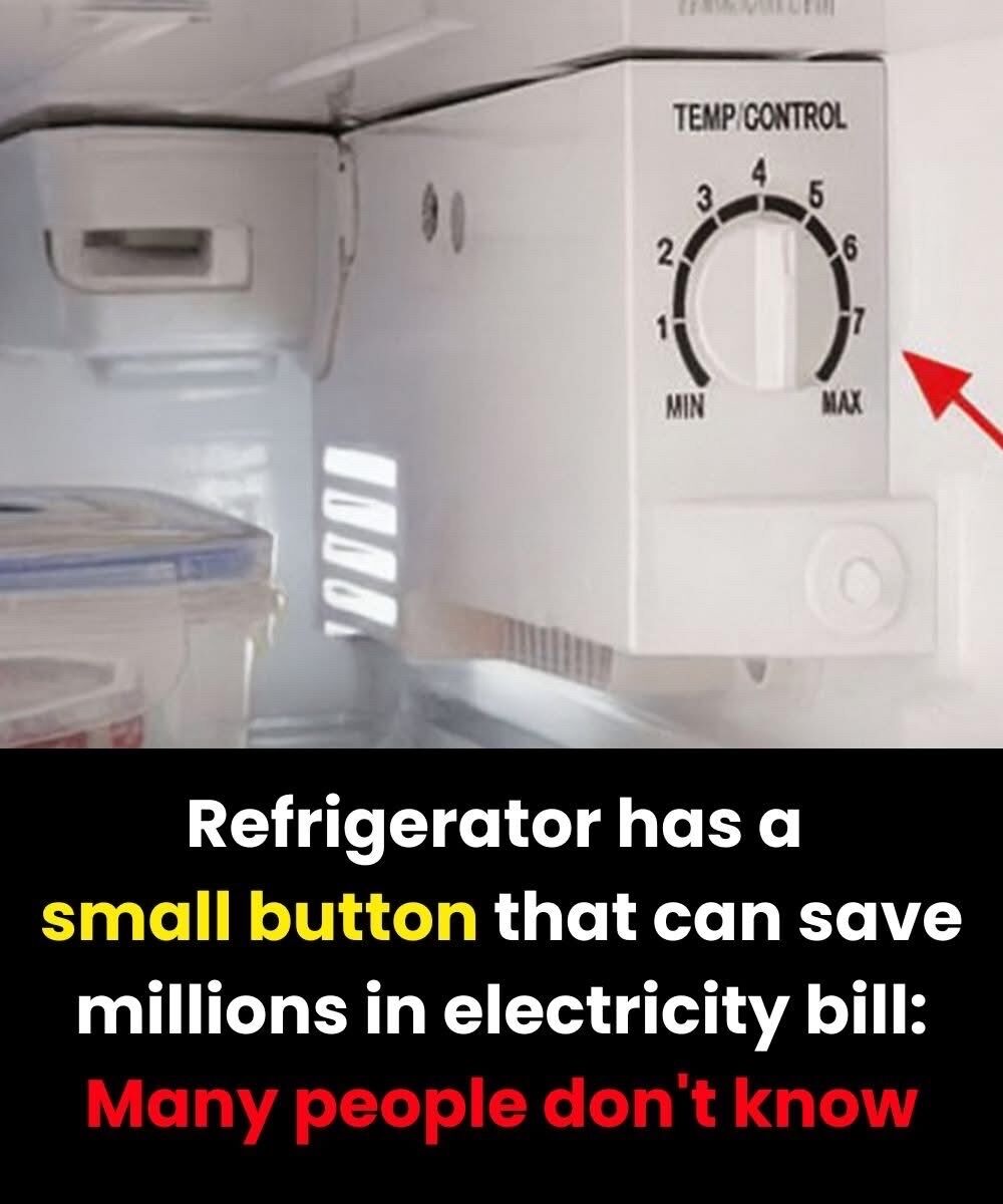 Broken Button? Here’s What to Expect