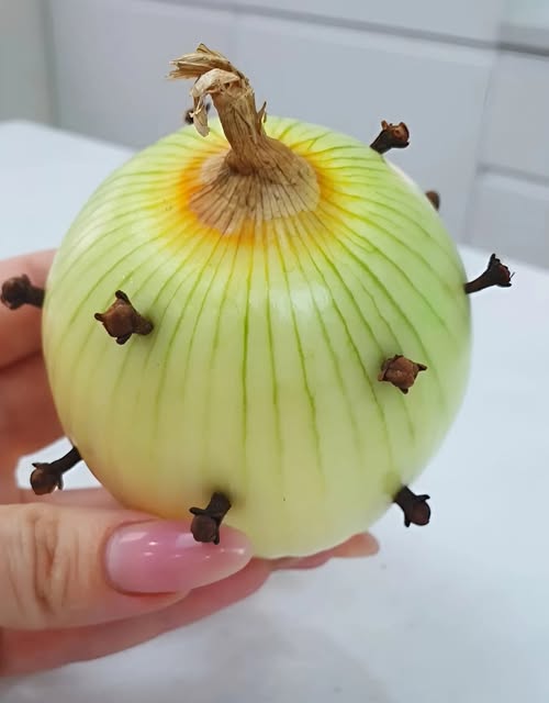 Grandma’s Surprising Onion and Clove Trick