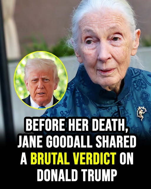 Jane Goodall’s Final Thoughts on Donald Trump