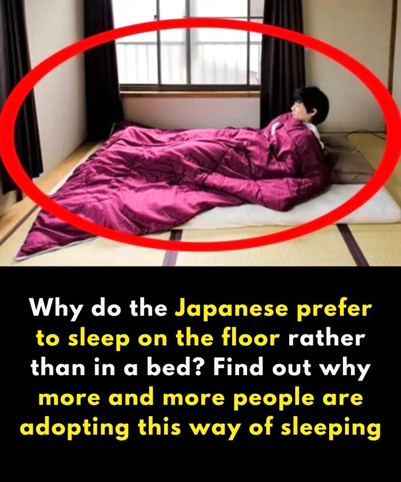The Tradition Behind Japanese Floor Sleeping