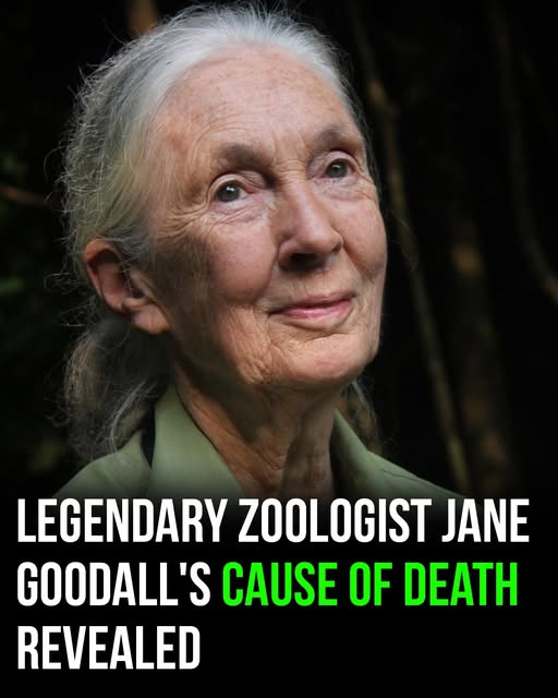 Jane Goodall Cause of Death Revealed