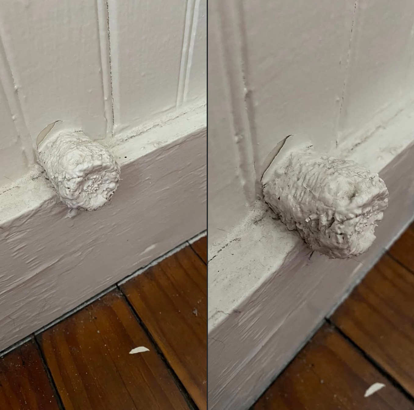 The Secret Nook Hidden Beneath This Century-Old Stoop