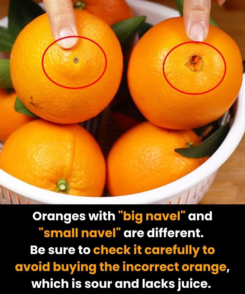 Navel Oranges After 50: Choosing Between Large and Small Fruits