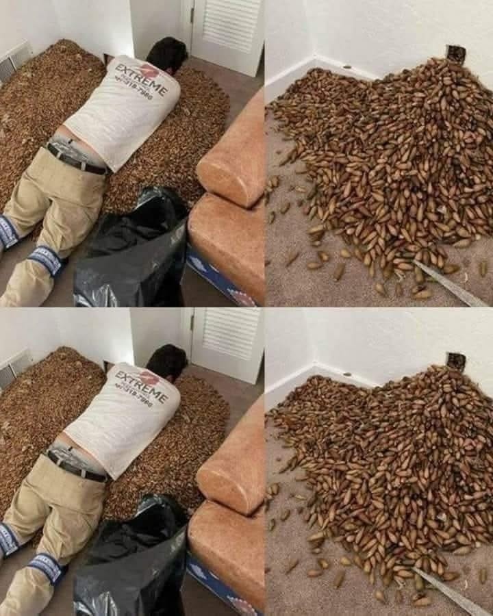 Man Discovers Shocking Secret Hidden Inside His Wall