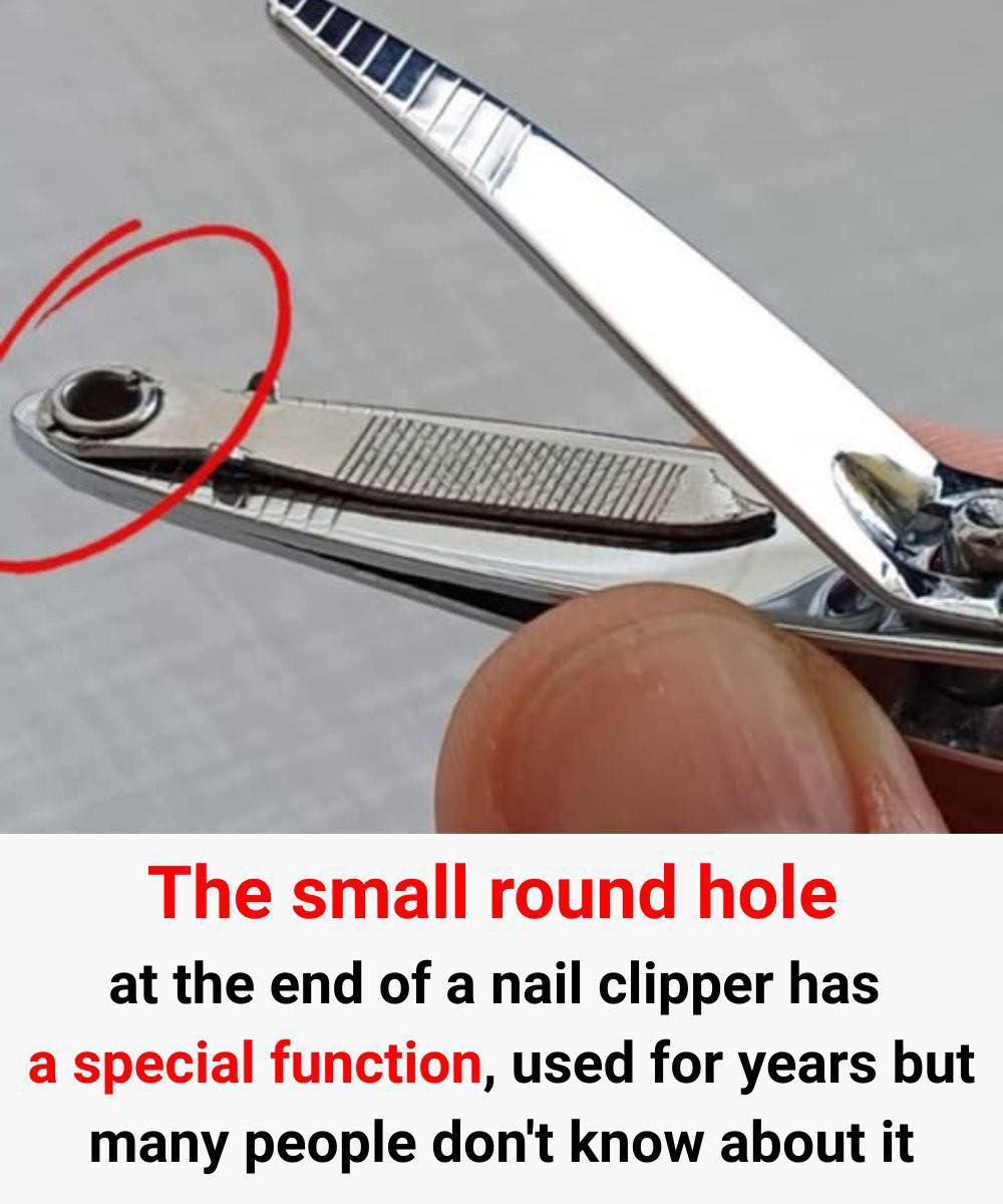 The Hidden Purpose of That Tiny Nail Clipper Hole – What Seniors Should Know