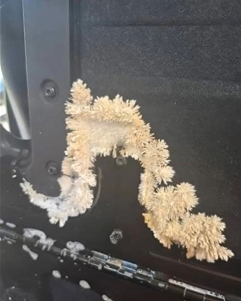 Hidden Danger Found Under My Car Seat