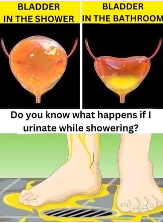 What Really Happens When You Pee in the Shower