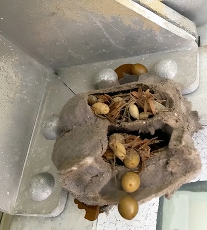 The Hidden Memory I Found in the Forgotten Corner of My Garage