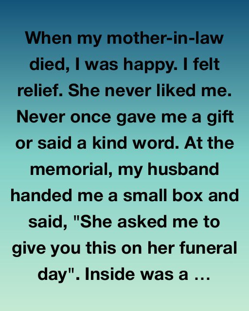 I Almost Threw Away the Box She Left, Until I Looked Inside