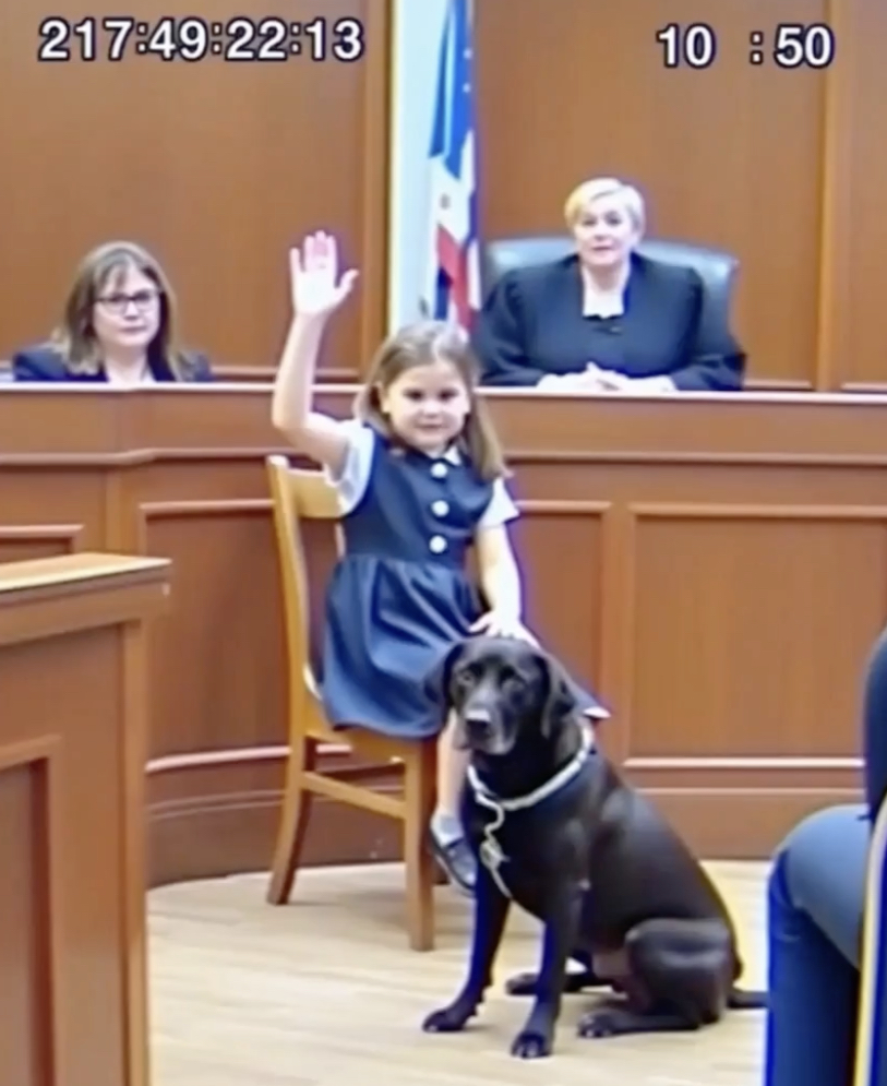 How a Secret Cue to Her Dog Helped Her Speak in Court