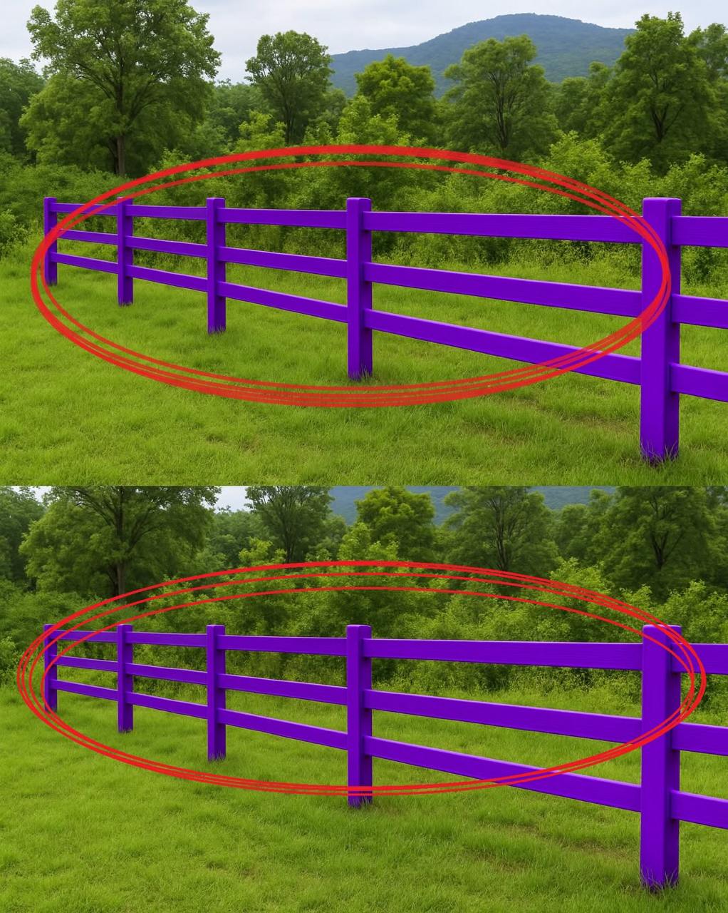 Why a Purple Fence Could Be a Warning — What You Need to Know