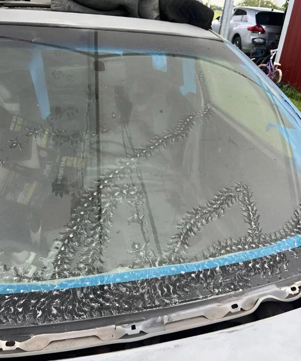 The Strange Marks on My Car Revealed a Tiny Secret I Never Expected