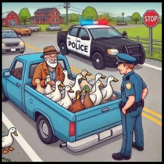 The Heartwarming Reason a Cop Pulled Over an Old Pickup Driver