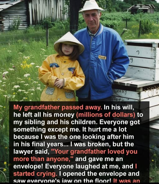 Unbelievable Inheritance Stories with Shocking Twists