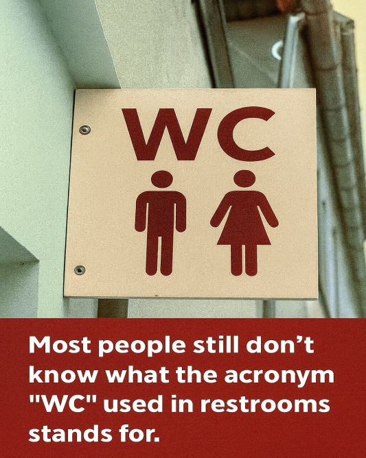 The Surprising Hidden History Behind the WC Sign We See Everywhere