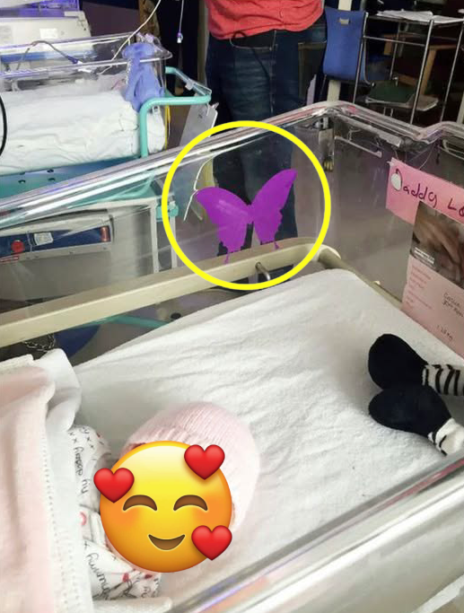 Understanding the Purple Butterfly Sticker Placed Near Newborns