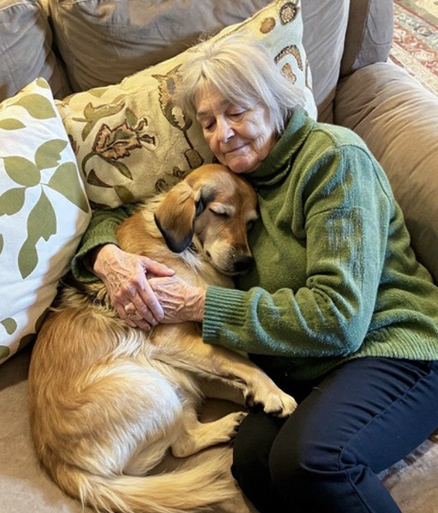 Family Fought Over Grandma’s Estate—Then I Found Her Secret