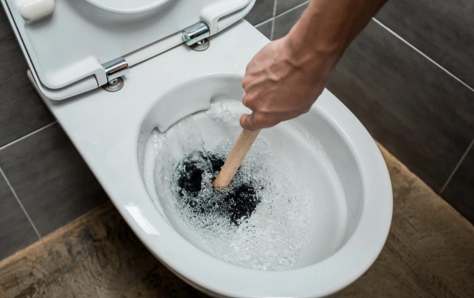 We Had to Call a Plumber After a Major Toilet Clog