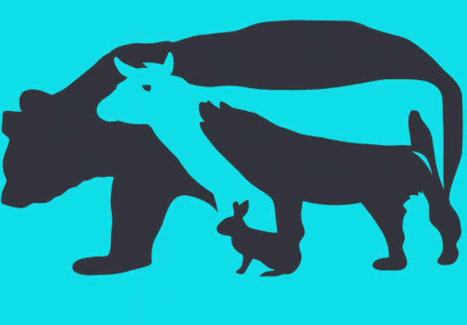 This Fun Visual Test Reveals a Personality Trait You May Overlook