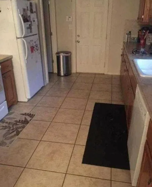 A Fun Kitchen Puzzle: Where Is the Hidden Dog?