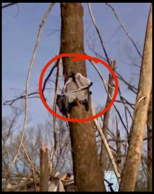 Strength and Community: A Tennessee Family’s Storm Recovery