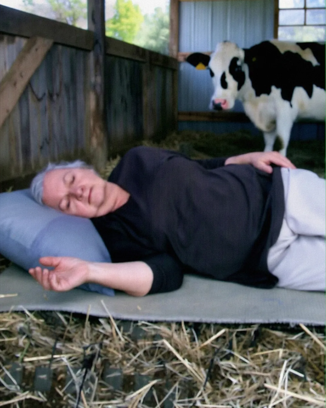 I Was Forced to Move Into an Old Barn — What Happened Next Shocked Everyone