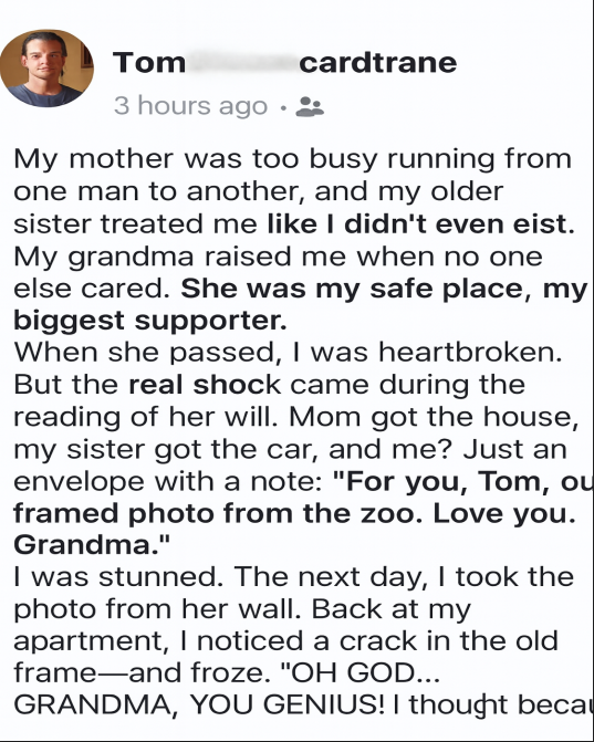 Grandma’s Last Gift: The Photo That Changed Everything