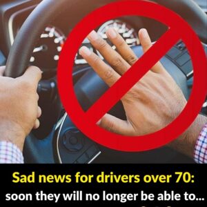 Driving Safety for Older Adults in the U.S.: What States Require and Why It Matters