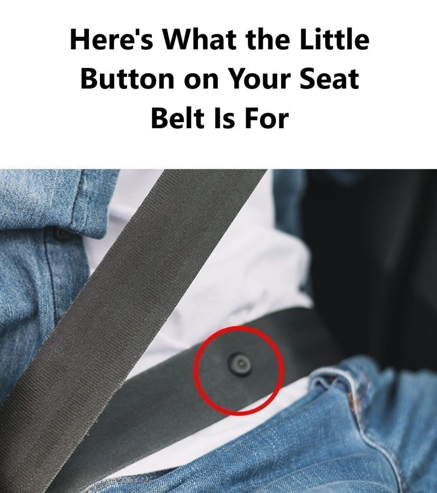 The Purpose of the Tiny Button on Seat Belts