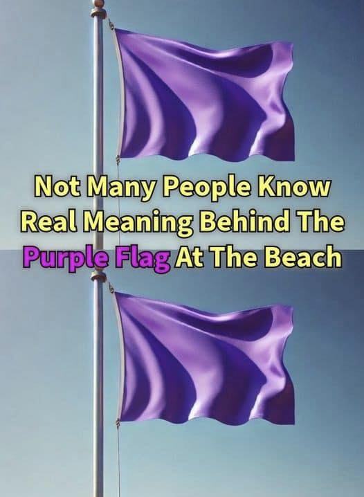 Why You Might See a Purple Flag Flying at the Beach