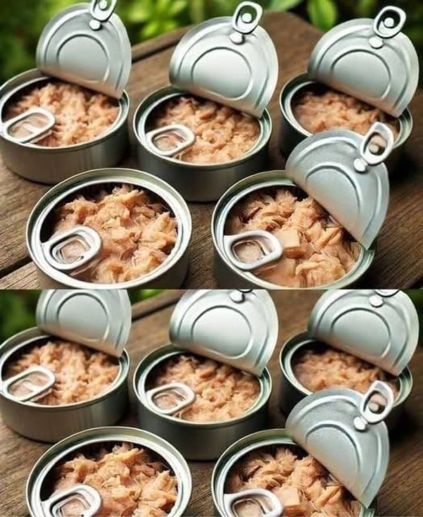 Creative and Practical Ways to Reuse Empty Tuna Cans at Home