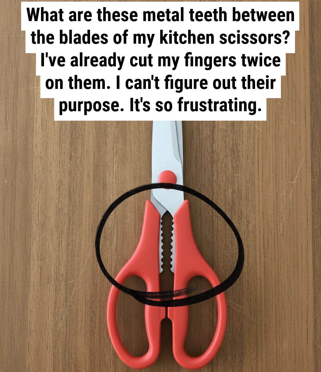What the Jagged Section on Kitchen Scissors Is Used For