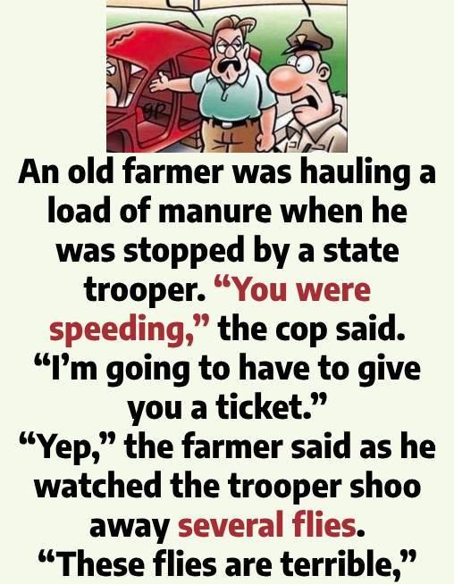 Funny Classroom Questions and a Farmer’s Sharp Wit