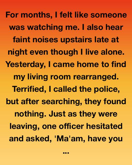 The Stranger in My Attic: A Story of Survival and Second Chances